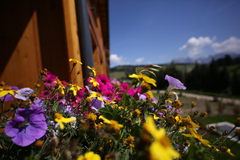 Sporthotel Floralpina Alpe Di Siusi Luaran gambar